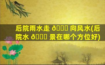 后院雨水走 🕊 向风水(后院水 🐛 景在哪个方位好)